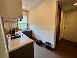 Balmoral Road (D10), Condominium #476189111